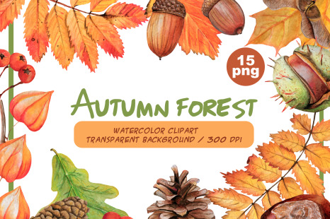 Watercolor autumn forest clipart - Autumn woodland PNG