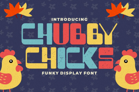 Chubby Chicks - Funky Display Font