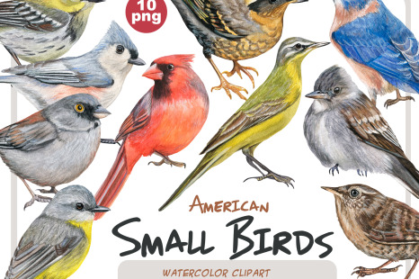 Watercolor realistic American small birds clipart set
