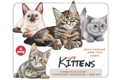 Watercolor kittens clipart set - Realistic cat portrait PNG