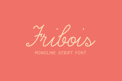 Fribois - Monoline Script Font