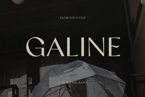 Galine Modern Luxury Font