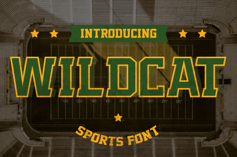 Wildcat - Varsity Sport Typeface