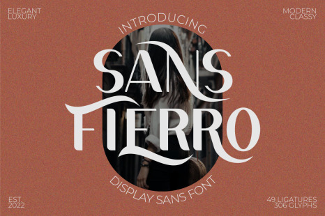 Sans Fierro - Display Sans Font
