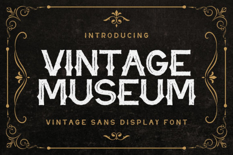 Vintage Museum - Vintage Sans Display Font