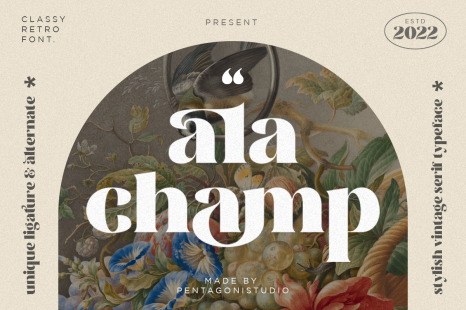 ala champ | Playful serif