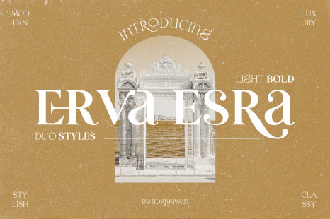 Erva Esra - Modern Quirky Serif Font