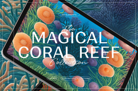 The Magical Coral Reef