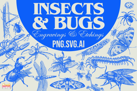 300+ Vintage Insects &amp; Bugs Etchings Illustrations &amp; Overlays