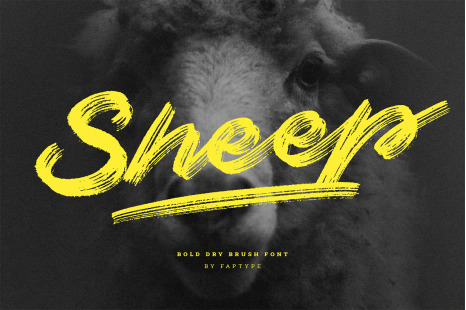 Sheep | Dry Brush Script Font