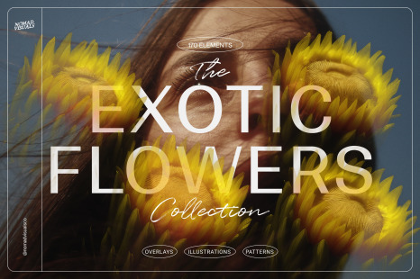 Flowers - Overlays &amp; Illustrations