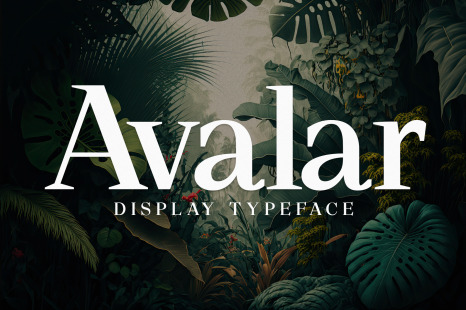 Avalar - Elegant Display