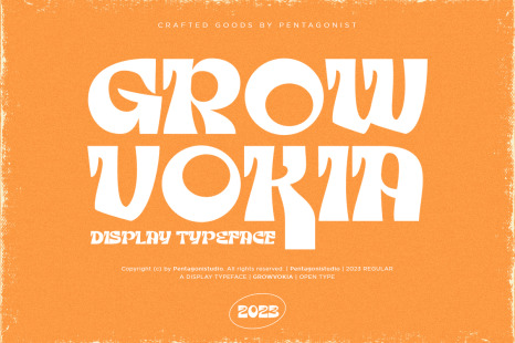 GROWVOKIA | Groovy Display