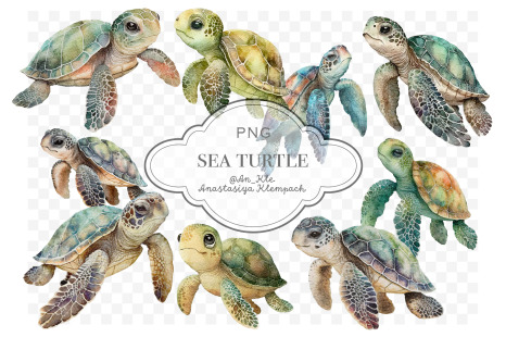Sea turtles clipart