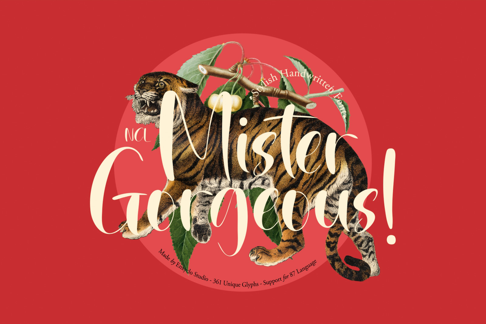 NCL MISTER GORGEOUS - Retro Script Handwritten Font