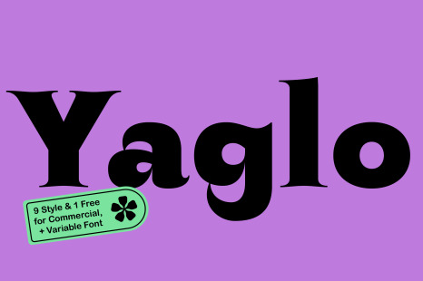 ZT Yaglo