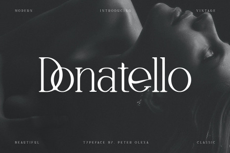 Donatello - Modern Serif Font
