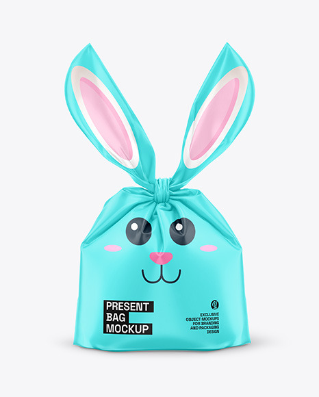 Present Bag Mockup - Front View