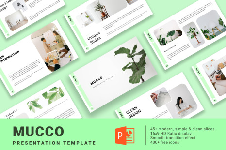 MUCCO Presentation template