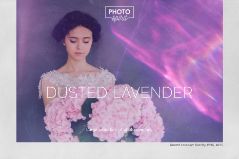 Dusted Lavender Effect Overlays