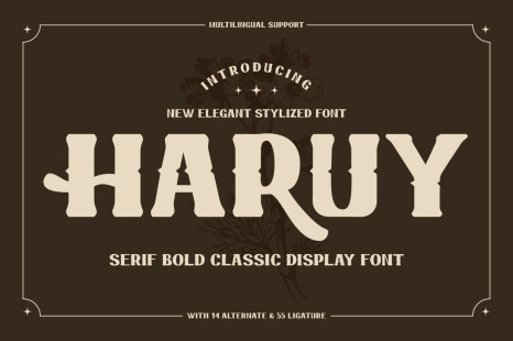 Haruy - Serif Bold Classic Display Font