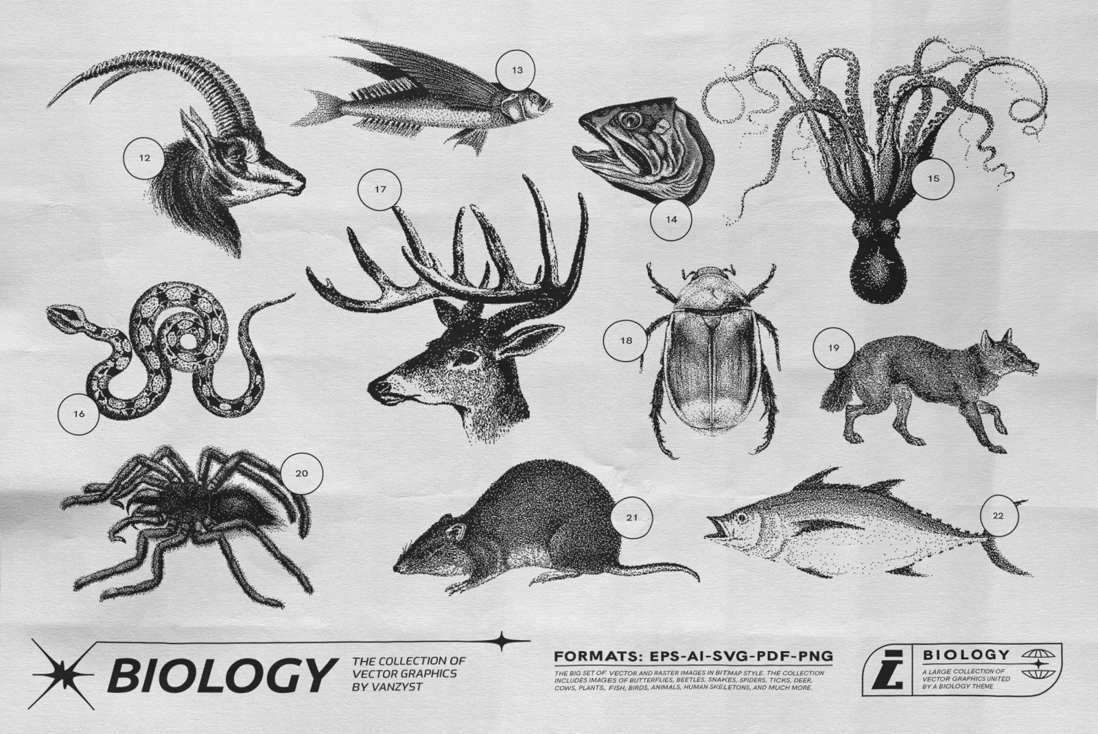 125 Vector Bitmap Assets. Biology