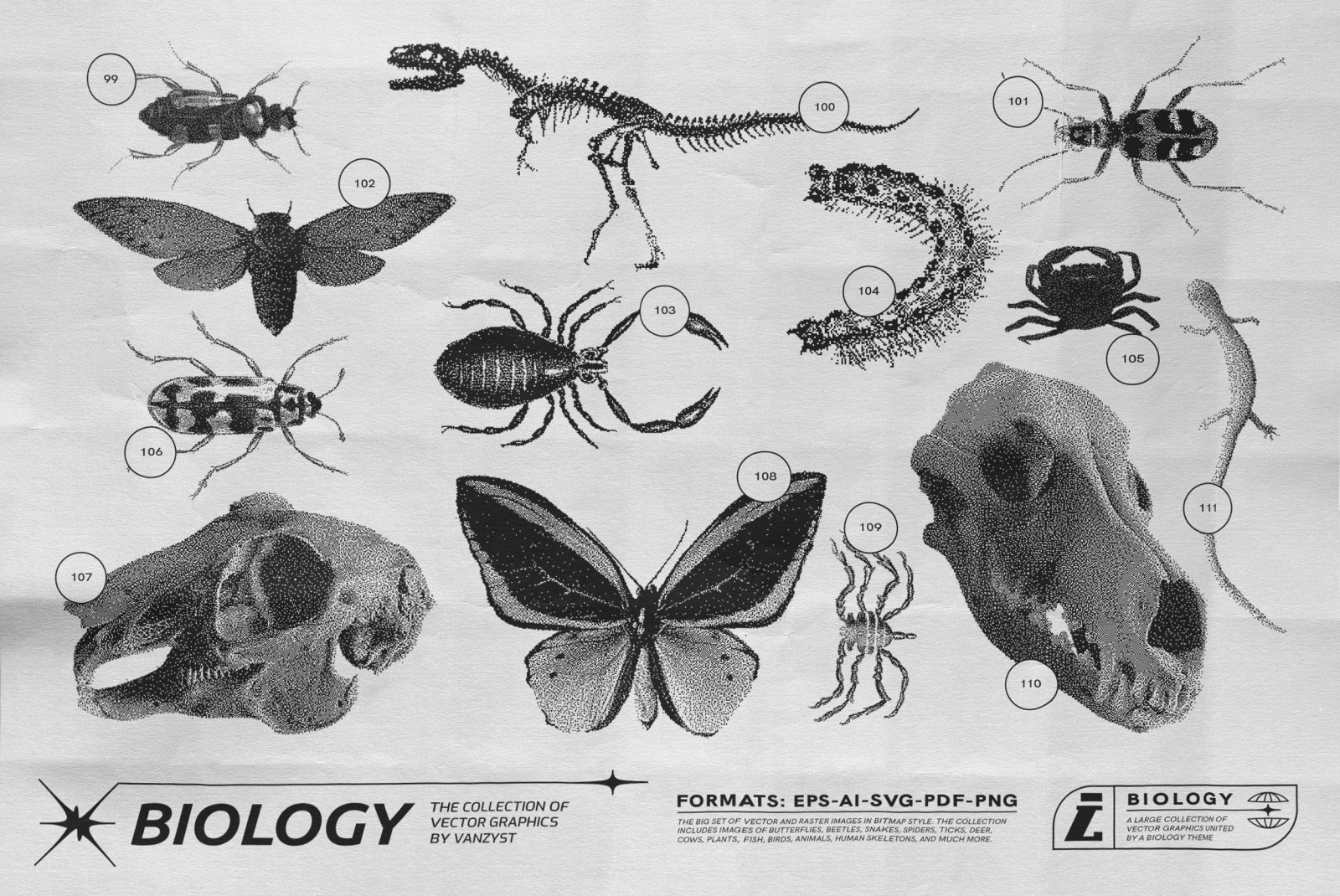 125 Vector Bitmap Assets. Biology