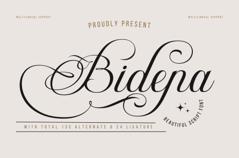 Bidena | Script Font