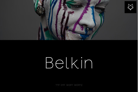 Belkin Display Typeface