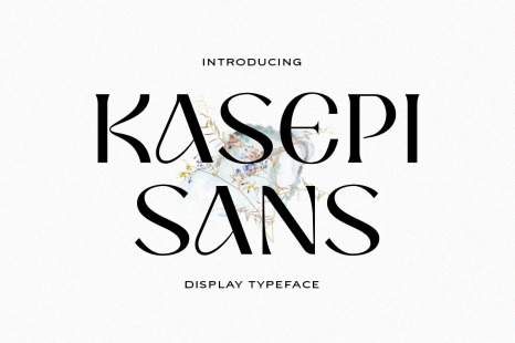 Kasepi Sans Display Typeface