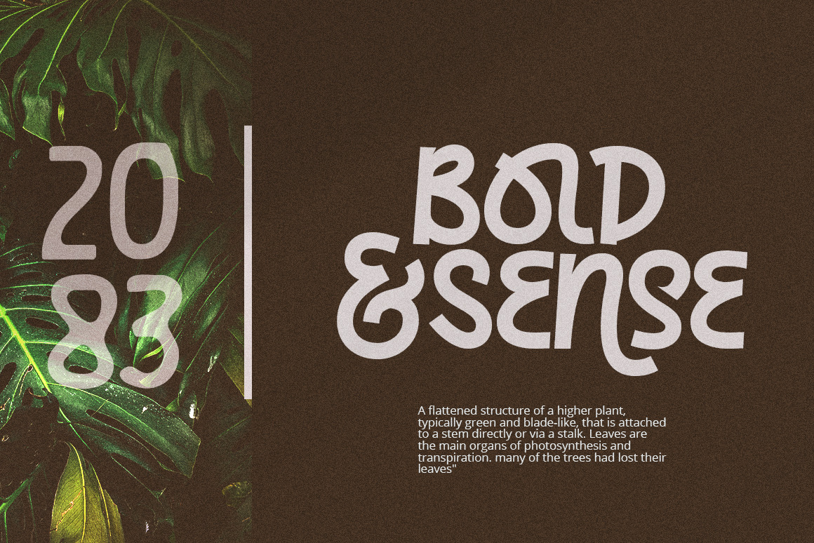 Kochay Font Kochay Font