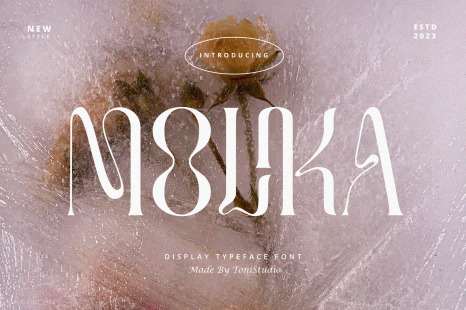 MOLIKA | Display Serif Typeface