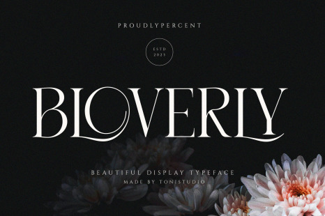 BLOVERLY || Display Serif