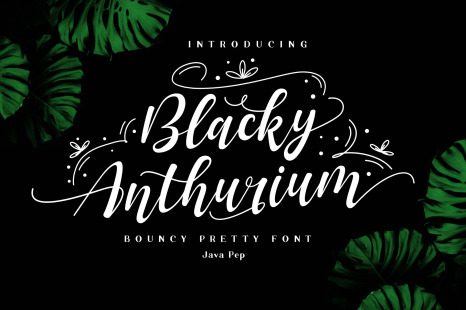 Blacky Anthurium / bouncy pretty font
