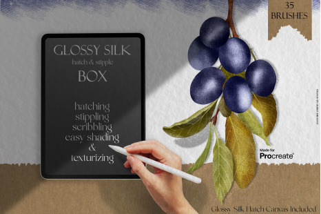 Glossy Silk Box for Procreate