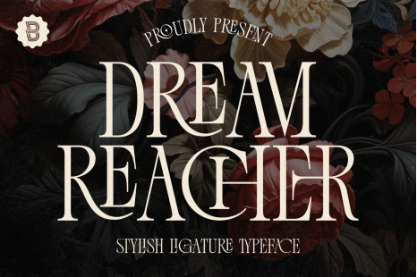 Dream Reacher - Stylish Ligature Serif Font