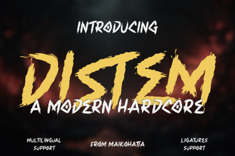 Distem - Modern Hardcore