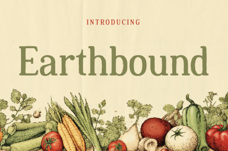 Earthbound - Organic Rustic Typeface