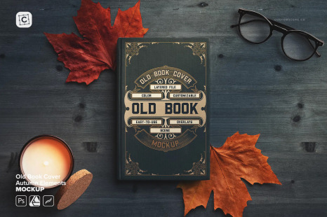Old Book Cover with Autumn Leaves, Candle and Glasses