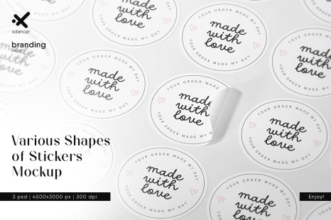Various Shapes of Stickers on the Sheet Mockup