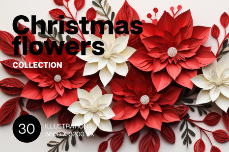 Christmas Flowers