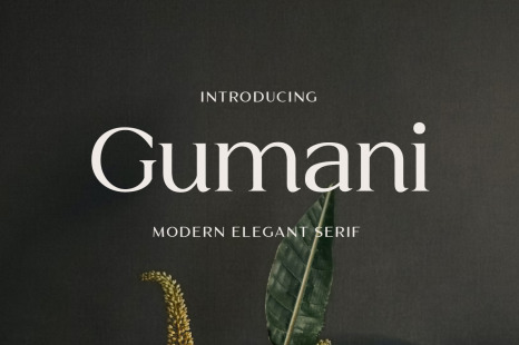 Gumani Serif Font
