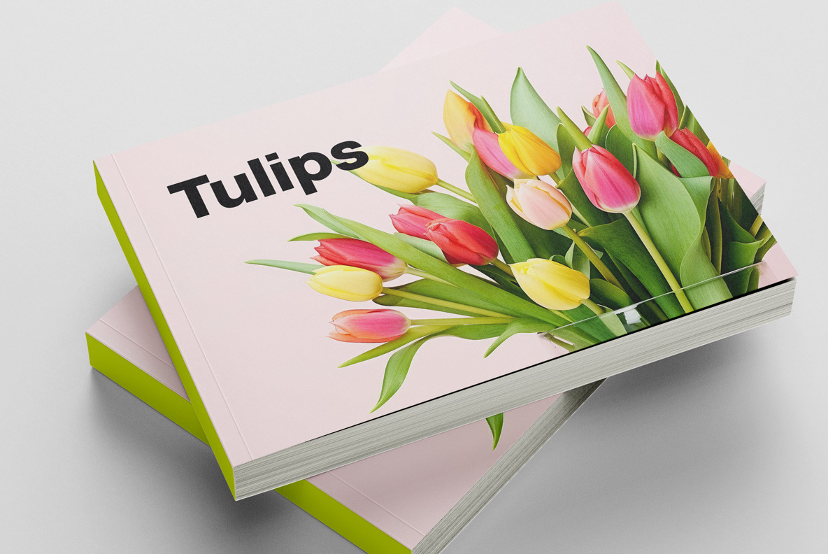 Bouquet of tulips Bouquet of tulips