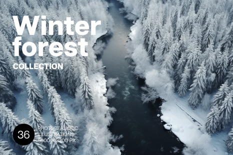 Winter forest.