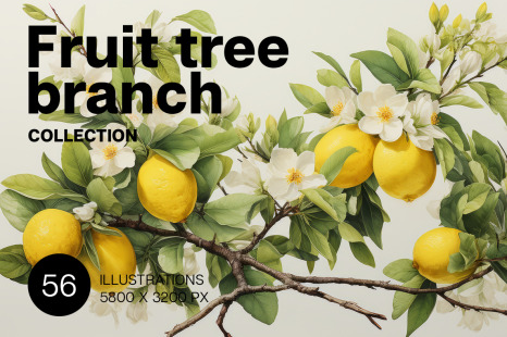 Fruit tree branch