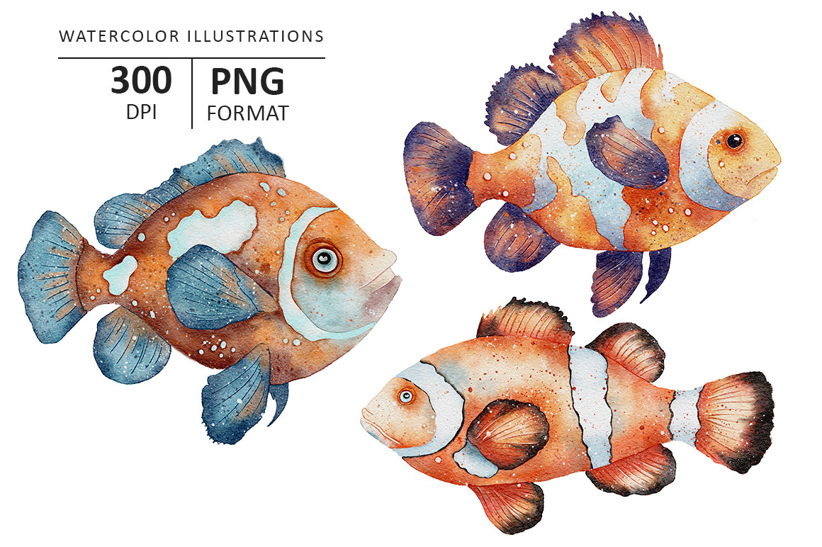 Ocean Fish watercolor illustration Ocean Fish watercolor illustration