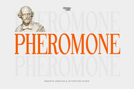 Pheromone | Modern Classic Serif