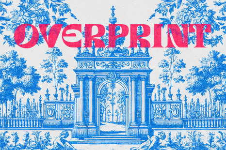 Overprint Photo Effect