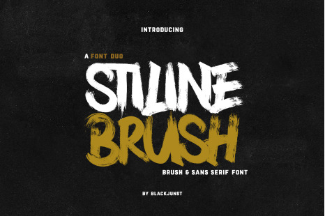 Stiline Brush - Font Duo Combination