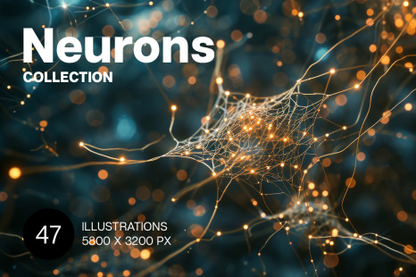 Neurons